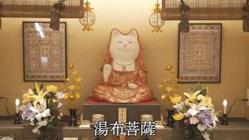 「どこを見ても猫」湯布院に誕生した猫作家による不思議なミュージアム、2mの猫大仏に猫型ピラミッドまで・大分発