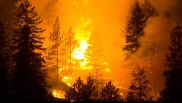 カナダ西部で大規模山火事　非常事態宣言発令、1.8万人が避難