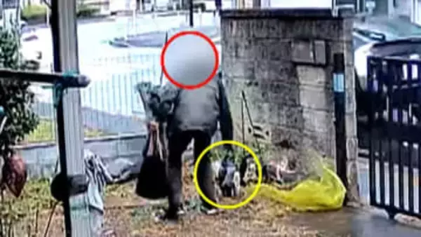 見知らぬ人物が敷地内に…白昼堂々男がフクロウの置物を手提げバッグに入れ持ち去る　東京・昭島市