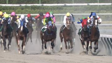 【3歳馬ダート重賞レパードS・G3】　飛躍の2年目・田山旺佑騎手　ショウナンバンライで待望の重賞初制覇なるか