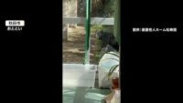 各地で“春グマ”出没　高齢者施設のガラスの先に、自宅の前に…秋田県での目撃300件超