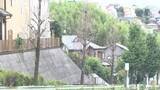 「東京・町田市で街路樹のイチョウ54本が枯れる　まいた除草剤が根から広がったか　市「予測困難だった」」の画像1