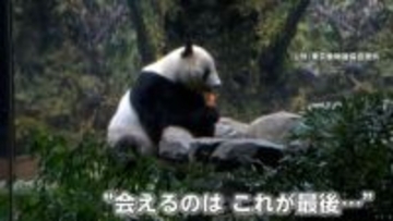 「生活の一部になっていた…」上野動物園のパンダ、最後の平日観覧　シャオシャオとレイレイは27日に中国・四川省へ出発