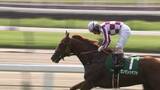 「【小倉記念・GⅢ】ゼンダンハヤブサが重賞初V！酒井学騎手16年ぶりの小倉記念制覇」の画像1