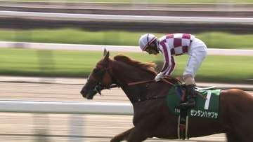 【小倉記念・GⅢ】ゼンダンハヤブサが重賞初V！酒井学騎手16年ぶりの小倉記念制覇