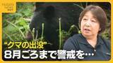 「木登りも泳ぎも得意…クマに遭遇した際の対処法は？“クマの出没”8月ごろまで警戒を「ブナやドングリ実るまでエサがない」」の画像1