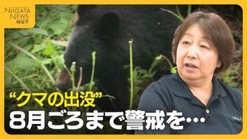 木登りも泳ぎも得意…クマに遭遇した際の対処法は？“クマの出没”8月ごろまで警戒を「ブナやドングリ実るまでエサがない」