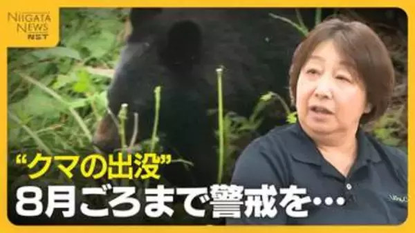 木登りも泳ぎも得意…クマに遭遇した際の対処法は？“クマの出没”8月ごろまで警戒を「ブナやドングリ実るまでエサがない」