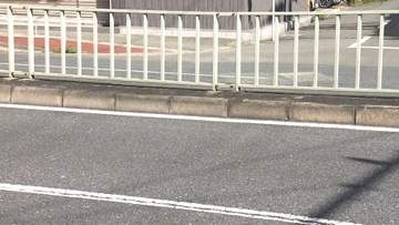 覆面パトカーの追跡振り切りバイク転倒　会社員の30歳男性が死亡　大阪市