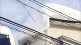 「大雪から一転　各地で春の陽気　長崎市では梅が9分咲きに…「いつ落ちてくるか、屋根雪が怖い」青森市では大量の落雪も」の画像1