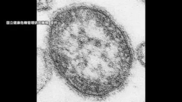 新宿区内の小学校ではしか集団発生　児童ら18人の感染確認　都内感染者は過去10年で最多180人に