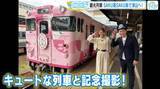 「【鉄道大好きアナウンサーおススメ】 ピンクの観光列車で行く「鉄道のまち」岡山・津山 鉄道旅【広島発／前編】」の画像1