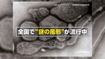 【専門家解説】「せきが止まらない、長引く」“謎の風邪”の正体！？ヒトメタニューモウイルスとは？