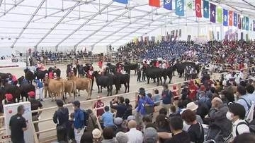 「和牛オリンピック」３連覇へ　鹿児島の挑戦　「結果が出るまで食事も喉を通らない」