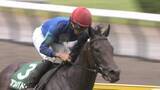 「【関屋記念・GⅢ】大雨で不良馬場の新潟　アンパドゥが重賞初挑戦で制覇！」の画像1