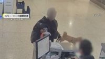 空港で発券拒否され犬を置き去り　飼い主の女を動物遺棄の疑いで逮捕　犬は新たな家族のもとへ　アメリカ