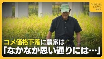 【コメ農家の声】「農家をやっていけない」300万円かけ新たな機械導入も毎年変動する取引価格に困惑　コメの価格下落や資材高騰で苦境に