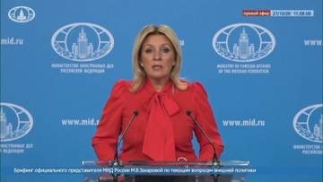 日本企業によるウクライナへのドローン供与は「敵対行為」　ロシア報道官が警告