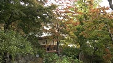 富士山は初冠雪　見ごろの紅葉の一方“異変”も　長雨と日照不足で葉が緑のまま枯れるケース　台風31号は来週後半、関東に影響か