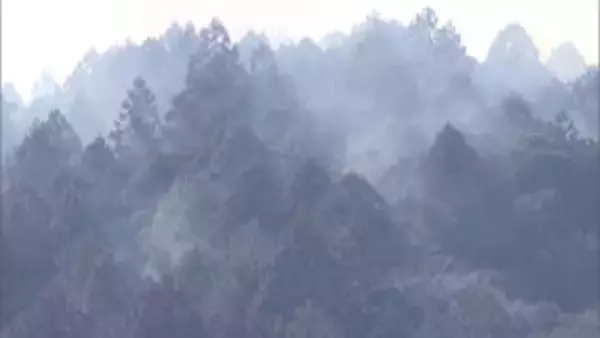 工場や住宅の火災が延焼　山林に燃え広がる…消火活動続くも鎮火のめど立たず　茨城・常陸太田市