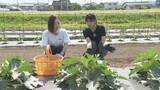 「富山のフレッシュな農園グルメが今、熱い　ラベンダー摘み取りや丸ズッキーニ収獲体験も」の画像1