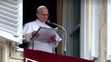 「ローマ教皇もカナリア諸島の人々に感謝　「クルーズ船の到着を認めた寛大な対応に感謝」」の画像1