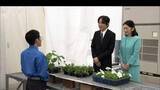 「秋篠宮ご夫妻　東京・葛飾区の農業高校の生徒と交流　“寅さん”舞台・柴又にも足を運ばれる」の画像1
