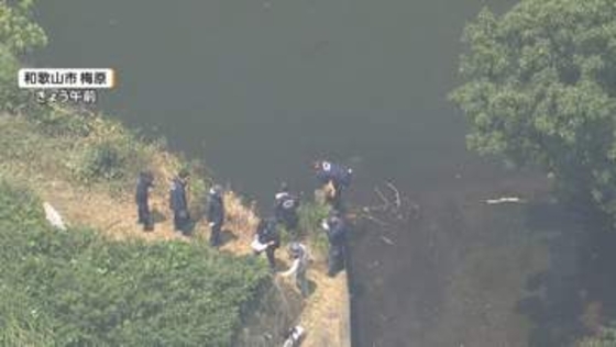 「1人は沈んで1人はうつぶせで浮かんでいた」草刈り中の高齢男性2人、池に転落し死亡　和歌山市