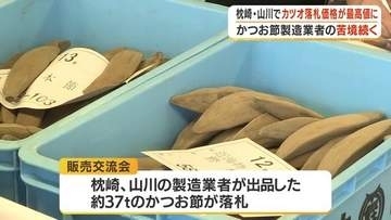 かつお節がピンチ　冷凍カツオ最高値に　不漁と中東情勢で打撃