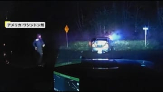 パトカーから逃走中に茂みに追突、事故のはずみで車内から犬1匹が投げ出される　アメリカ・ワシントン州