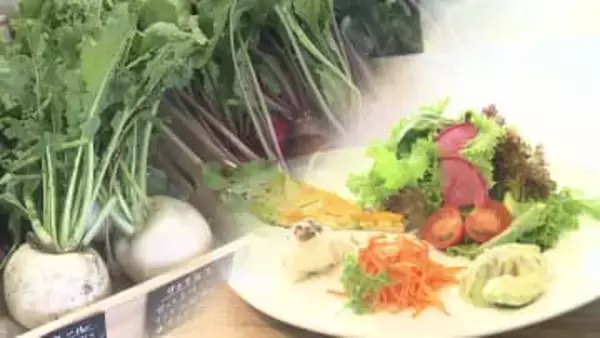 “農薬不使用”の野菜と“麹”を使った料理が自慢！心も体も整うカフェ ママたちが手がけた新店はつながりを作る「居場所」にも