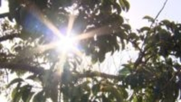 九州は20℃超で4月並みの暑さ　都心も3月上旬並み　横浜でお得なたい焼きに行列　世田谷ボロ市に人殺到「代官餅」は2時間待ち