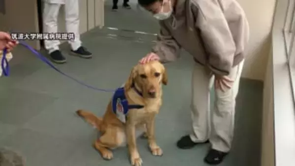 “入院患者に寄り添う”「ファシリティドッグ」導入へ筑波大学附属病院がクラファン　2027年度目指し国立大学病院で初