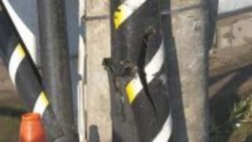 制御困難な速度で交差点の信号機柱に激突、同乗女性を死亡させ逃走か　危険運転致死の疑いで男(33)逮捕