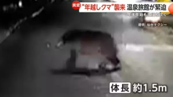 “年越しクマ”襲来…温泉旅館に居座り緊迫　タクシーとあわや衝突・巨大な足跡も　専門家は春先の増加を懸念