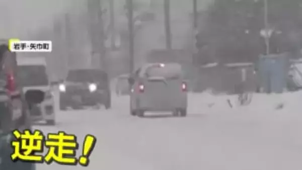 「逆走しすぎだろぉ」子供もあきれる程の雪道逆走で大混乱　「またか」同じ場所同じ時間に信号無視する車　岩手・群馬