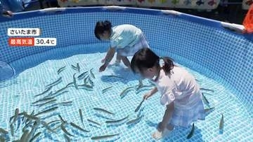 5月最後の週末も真夏日続く　全国180地点以上で30℃超に　ニジマスつかみ取りやビールイベントにぎわう