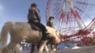 午年は馬との特別体験いかが？ 冬季休園中の遊園地で楽しむ乗馬体験！ 乗馬の腕が上達したかのような気分に！？