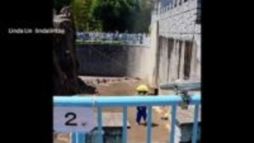 「パンチ君」の猿山に外国人2人が侵入　威力業務妨害の疑いで逮捕へ　「市川市動植物園」観覧エリア一部封鎖で営業　千葉