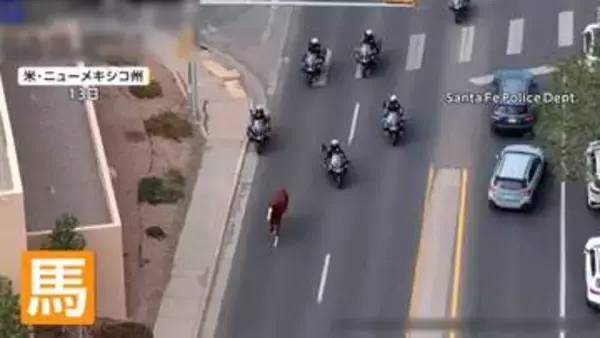 道路を疾走する馬　パレードから逃げ出し大追跡　警察バイクとカウボーイも参戦　駐車場に追い込み無事保護　アメリカ