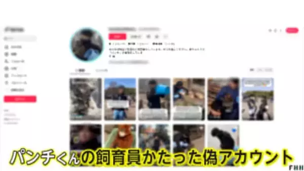 大人気の子猿「パンチくん」偽アカウントで寄付金募る詐欺　フォロワー8万人以上　飼育員装い動画無断使用　不自然な日本語も