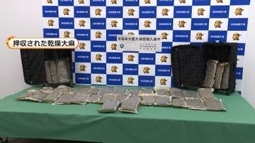 乾燥大麻30キロをアメリカから密輸か　末端価格1億5000万円相当　アメリカ国籍の女2人逮捕「報酬もらえると聞き受けた」