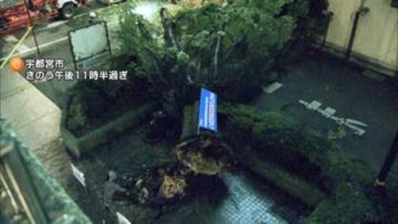 台風15号　観測史上初の茨城県上陸　列島横断中　関東で3人けが強風で倒木など被害相次ぐ　高速道路一部通行止めも