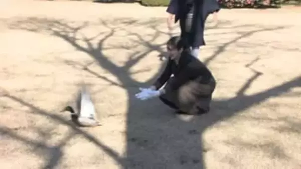 両手でそっとカモを放たれ…愛子さま「鴨場接待」単独で参加　各国の駐日大使らと英語交えて交流