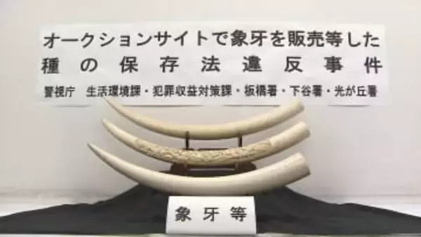 「マンモスの牙」「象牙風」表記偽り販売か…男3人逮捕　“絶滅恐れ”アフリカゾウの牙　「処分に困って販売」容疑認める