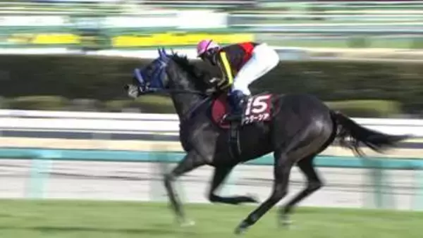 【大阪杯＆皐月賞へ 春を動かすダブル重賞金鯱賞＆スプリングS・GⅡ】金鯱賞はシェイクユアハートが大接戦制し重賞2勝目！スプリングステークスではレースレコード更新！アウダーシアが豪快な差し切りV