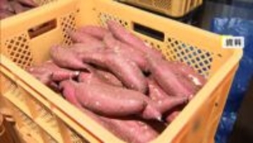 日本のサツマイモが大人気に！輸出拡大で争奪戦に…価格高騰でも人気高まる背景は“ブランド化”「もっとおいしいもの作ろうと競争」