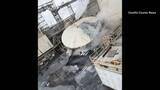 「日本製紙グループ子会社のアメリカ工場でタンク破裂　1人死亡、9人が行方不明　日本製紙「速やかに調査進めている」」の画像1