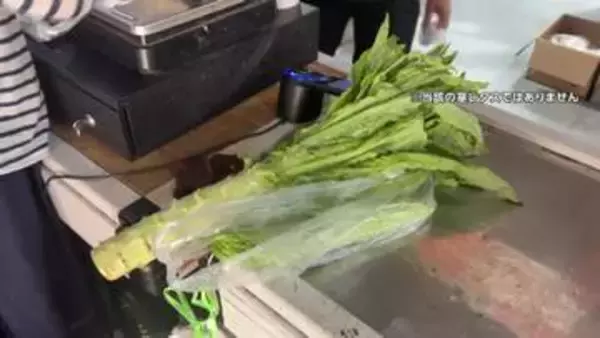 また中国で違法な食品処理　今度は「茎レタス」に青と黄を混ぜ緑に着色　生鮮野菜は使用認められず　白菜を「ホルムアルデヒド」に浸す過去も
