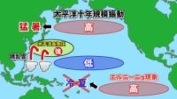 “記録的な高温”の春から猛暑に…エルニーニョ現象でも冷夏にならず　太平洋高気圧が勢力増強、北部の海面水温が高温に